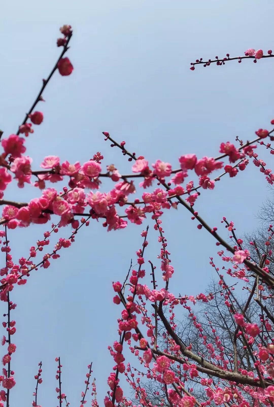 微信圖片06.jpg