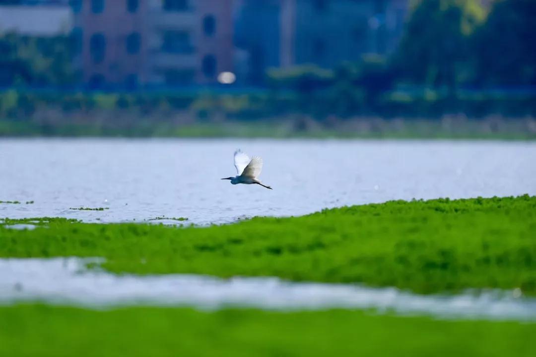 微信圖片_20190708103202.jpg